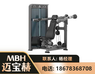 黄石肩部推举训练器