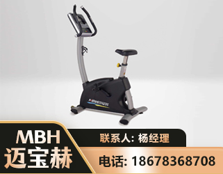 黄石立式健身车